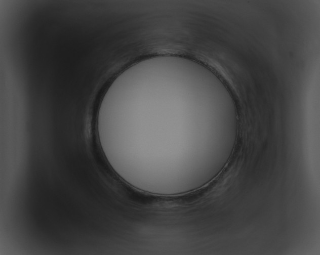X0000101170299200806270759