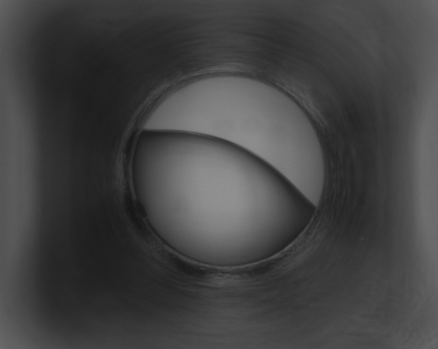 X0000101170300200806270759