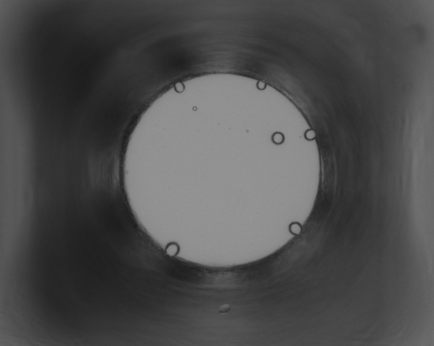 X0000101170301200806270759