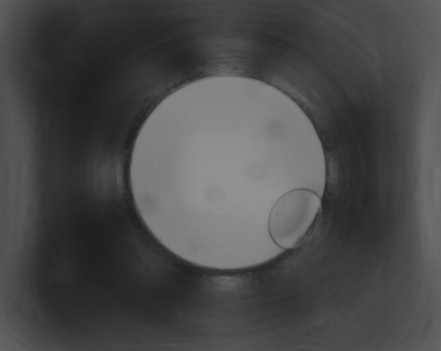 X0000101170302200806270759