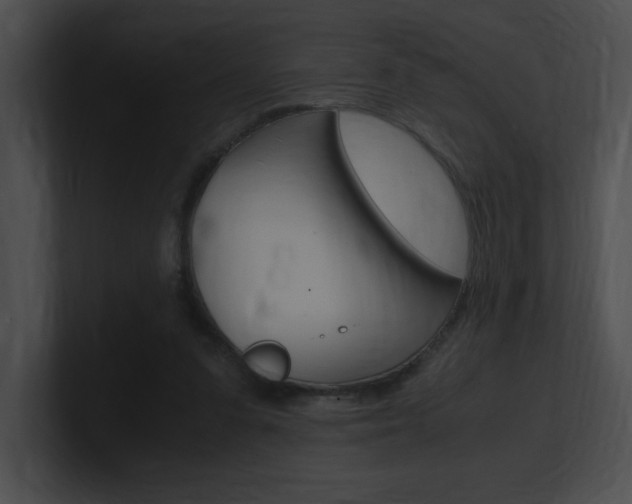 X0000101170303200806270759
