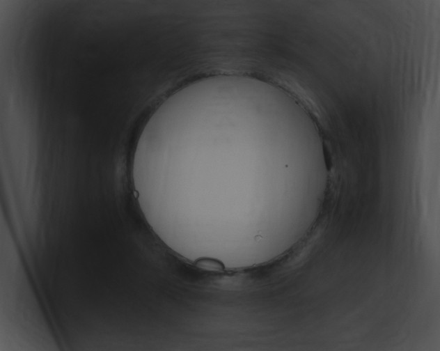 X0000101170306200806270759