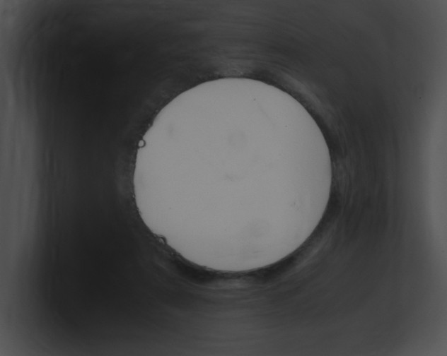 X0000101170307200806270759