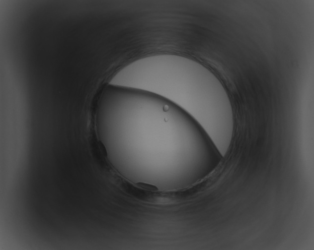 X0000101170308200806270759