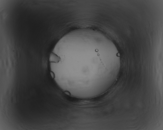 X0000101170315200806270759