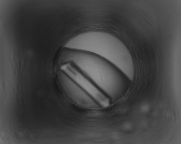 X0000101170316200806270759