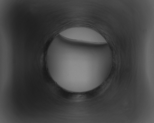 X0000101170319200806270759