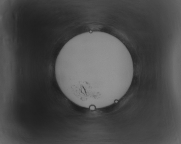 X0000101170321200806270759