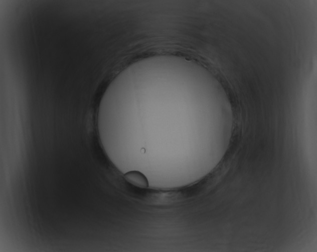 X0000101170323200806270759