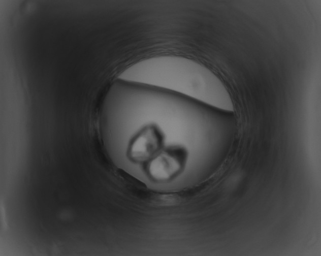 X0000101170324200806270759