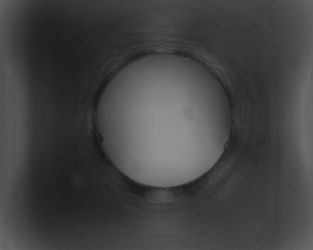 X0000101170325200806270758
