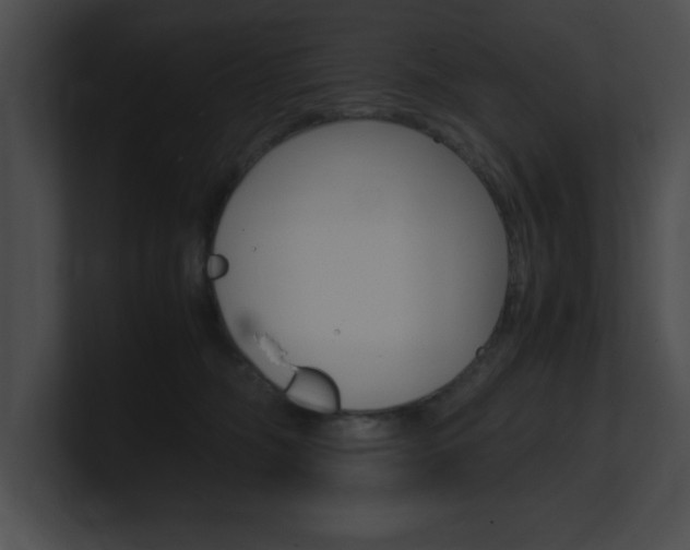 X0000101170326200806270758