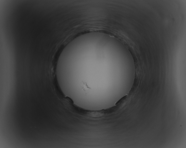 X0000101170327200806270758