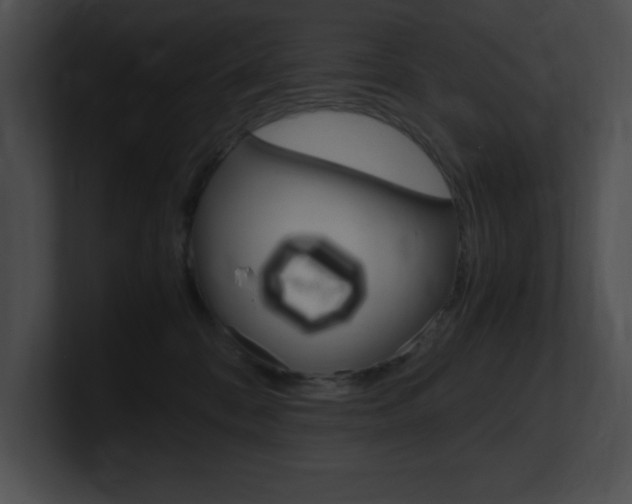 X0000101170328200806270758