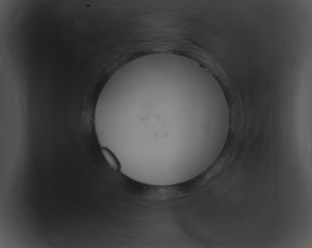 X0000101170329200806270758