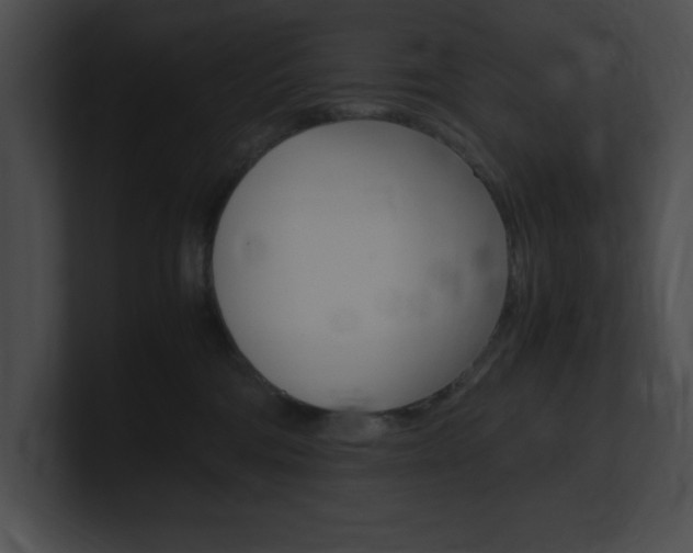 X0000101170330200806270758