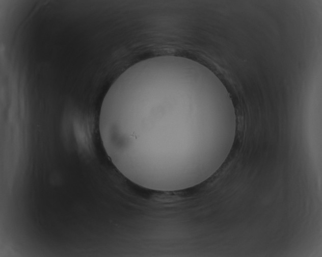 X0000101170331200806270758