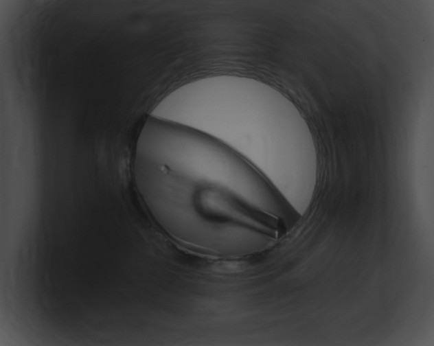 X0000101170332200806270758
