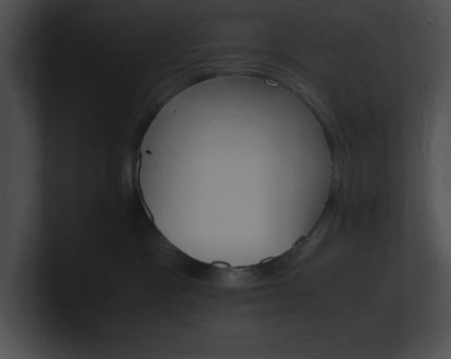 X0000101170333200806270758