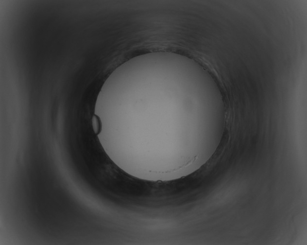 X0000101170335200806270758