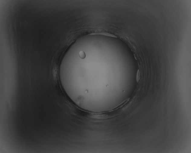 X0000101170336200806270758