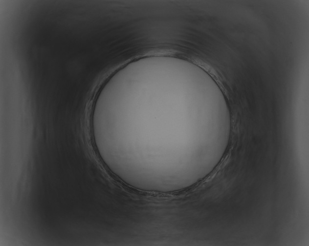 X0000101170337200806270758