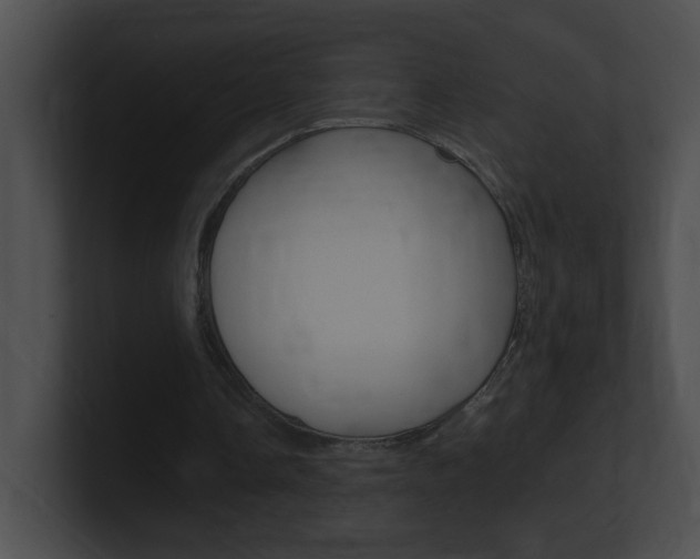 X0000101170338200806270758