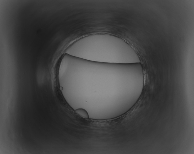 X0000101170339200806270758