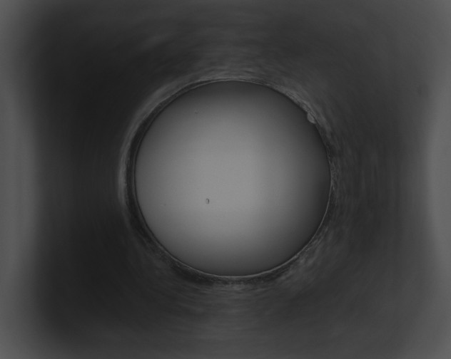 X0000101170340200806270758