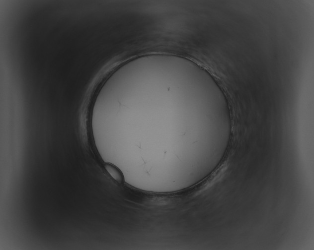 X0000101170341200806270758
