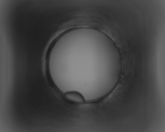 X0000101170342200806270758