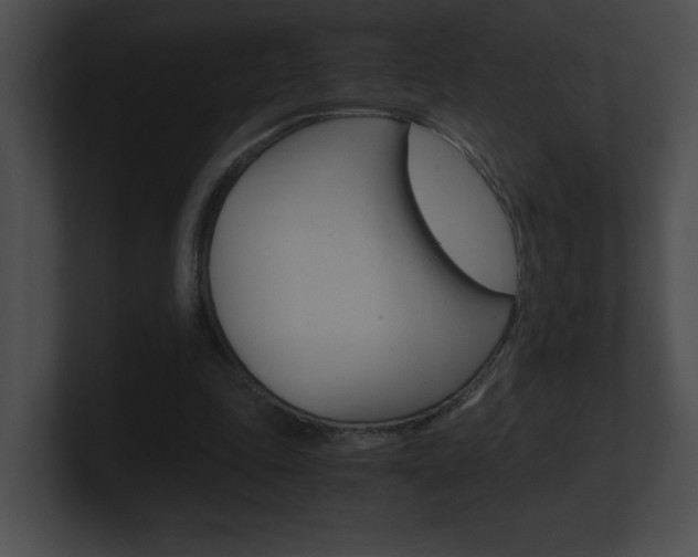 X0000101170343200806270758