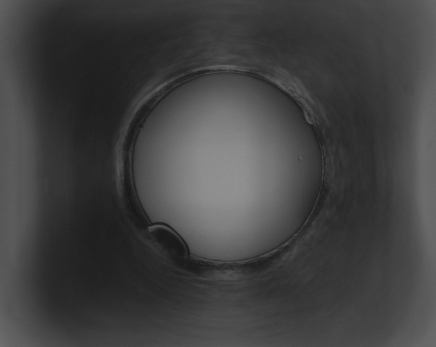 X0000101170344200806270758