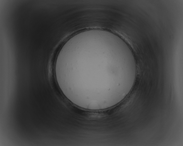 X0000101170347200806270758