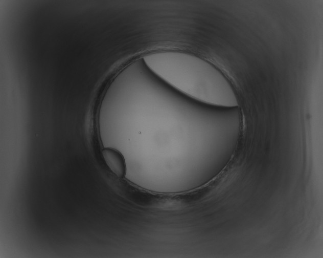 X0000101170348200806270758