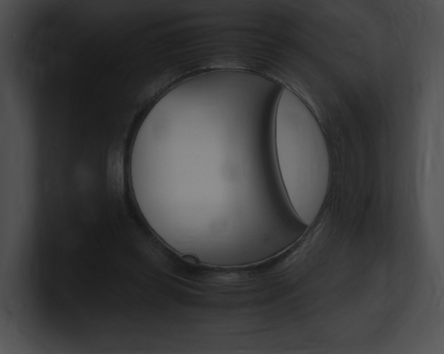 X0000101170349200806270758