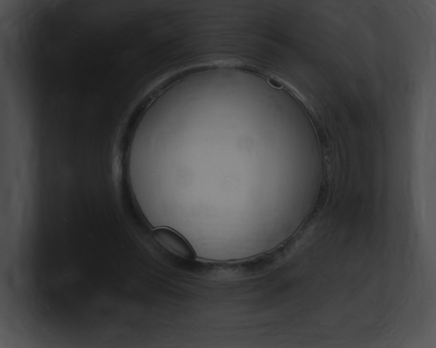 X0000101170350200806270758