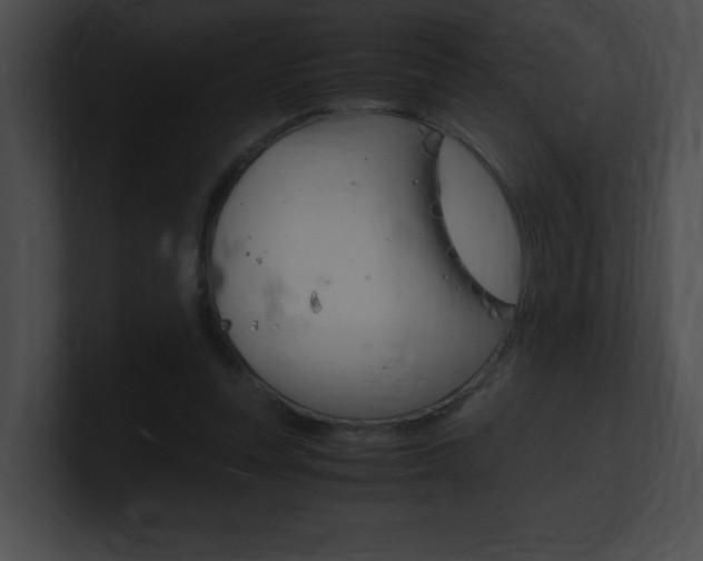 X0000101170351200806270758