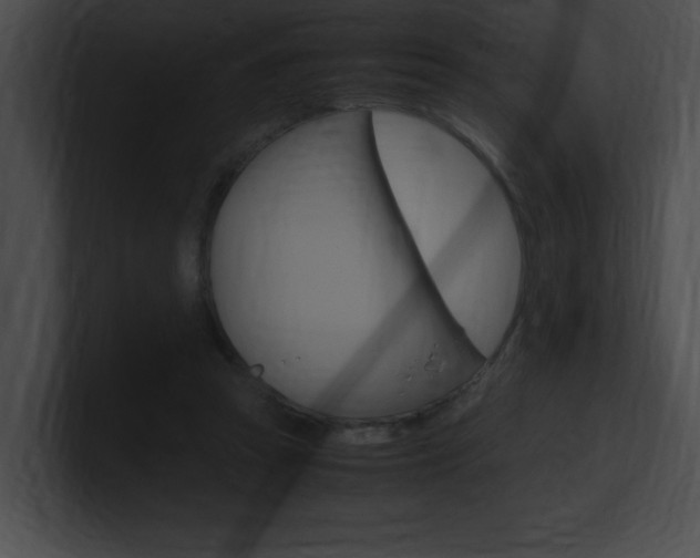 X0000101170353200806270758