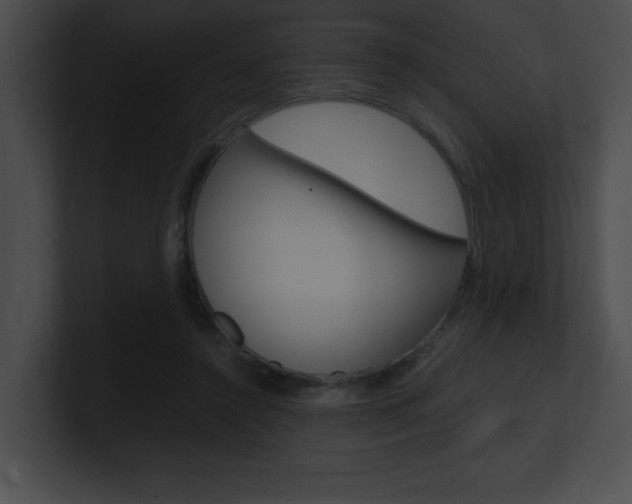 X0000101170356200806270758