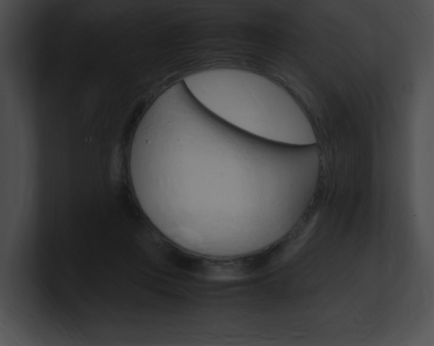 X0000101170359200806270758