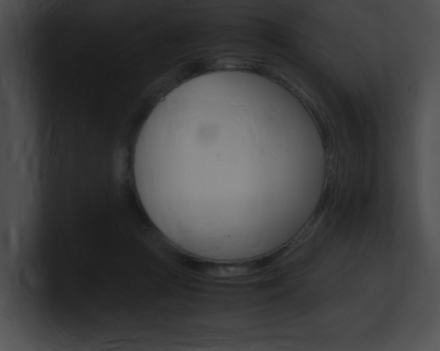 X0000101170361200806270758