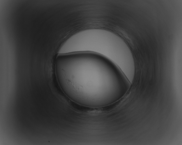 X0000101170362200806270758