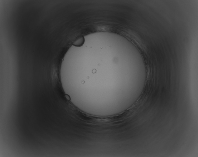 X0000101170363200806270758