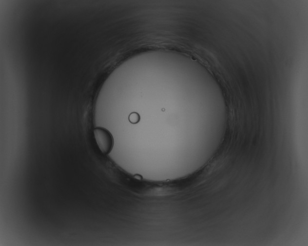 X0000101170364200806270758