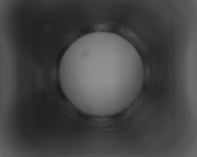 X0000101170367200806270758