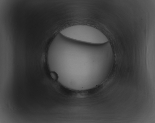 X0000101170368200806270758