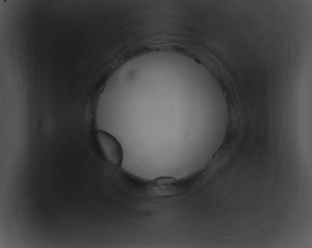 X0000101170372200806270758