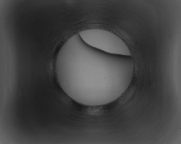 X0000101170373200806270758