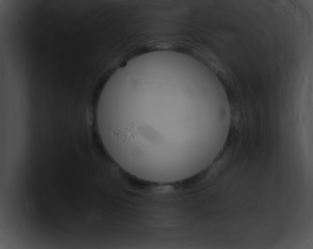X0000101170374200806270758